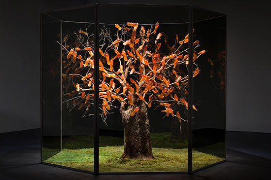 Rachel Berwick, Zugunruhe, 2009-2010