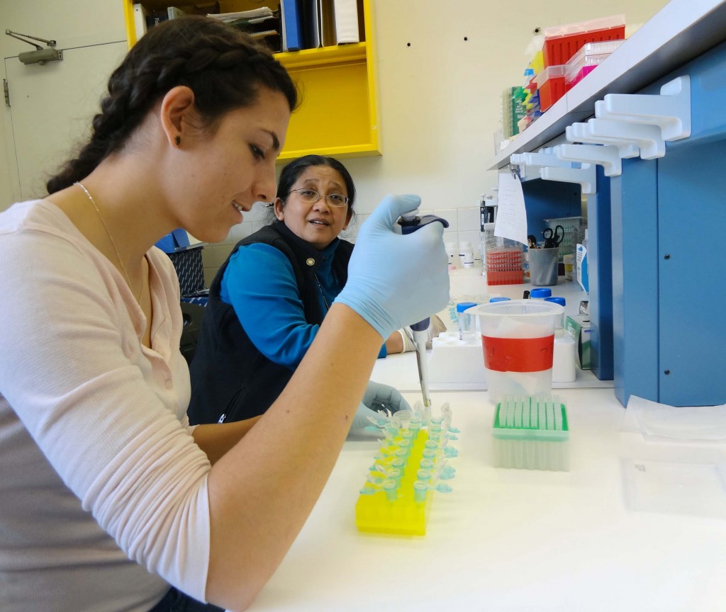 13_dove_SpringBreakIntern