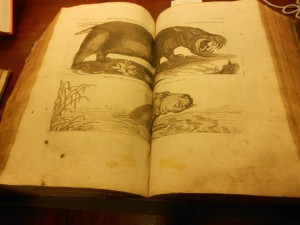 10322755_807188055972809_3042052954247653219_n