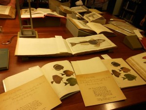 10380295_807188662639415_8860484760928107812_n