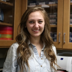 NMNH Summer Intern Allison Snider