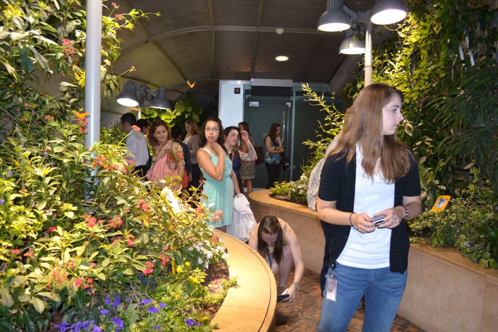 students were given the opportunity to visit the “Butterfly Room”