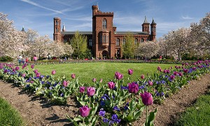 Enid A. Haupt Garden