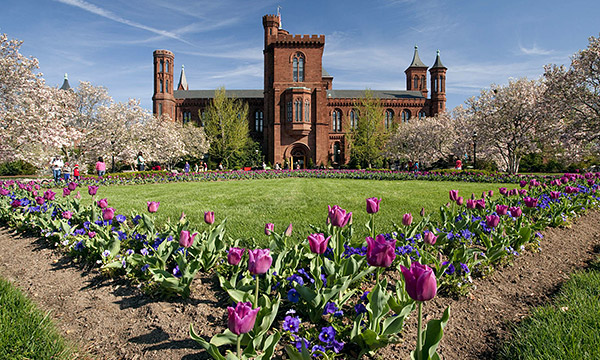 Enid A. Haupt Garden