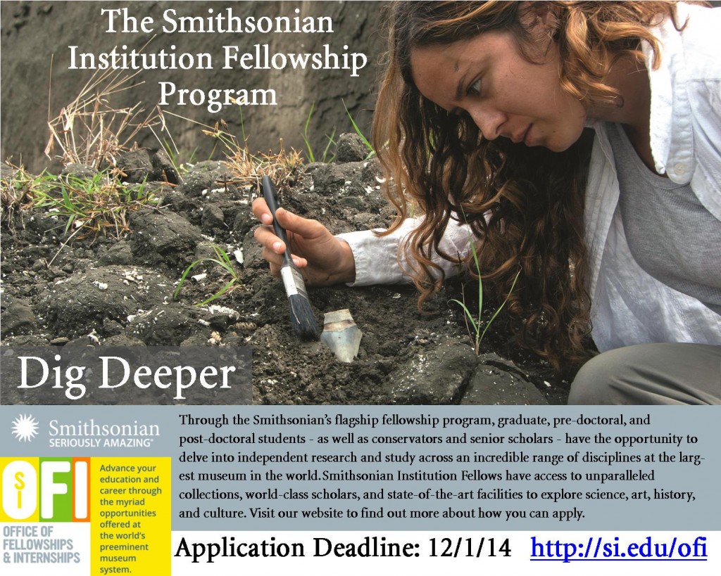 20140912 SI Fellowship