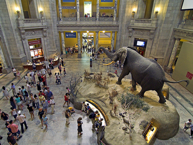 American-Museum-of-Natural-History-Capitol-Escapes-2