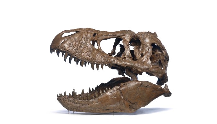 AAEAAQAAAAAAAAMBAAAAJGUyMDFkOThiLWZlZDgtNDgxNi1hMWNiLTQ1YzYzNGYxMzNlNg