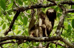 150626083921_1_900x600