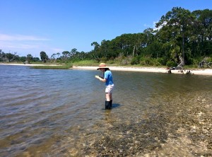 Tepolt hunting for mud crabs in Apalachicola, Florida. (Darin Rummel)