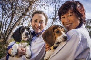 Puppy Partnership