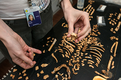 Nicole Smith-Guzman examines skeletal specimens.