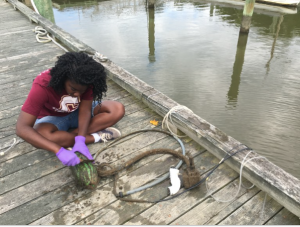 screen-shot-2016-10-13-at-2-46-07-pm